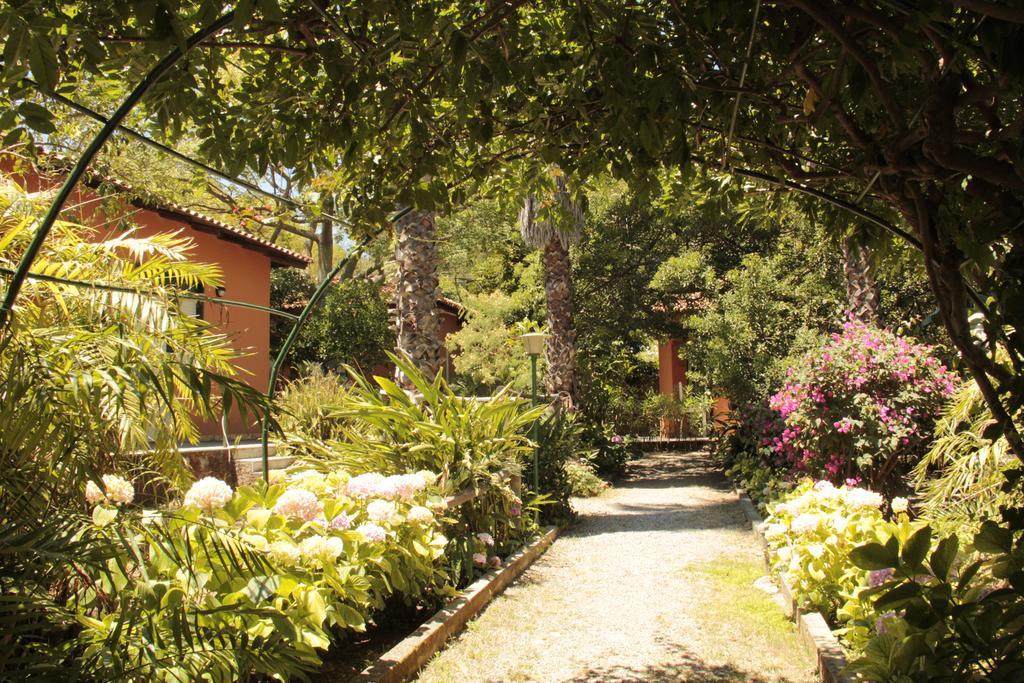 فيلا Le Palme Garden سان جورجيو ماجيوري المظهر الخارجي الصورة